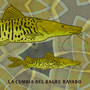 La Cumbia del Bagre Rayado