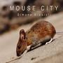 Mouse city