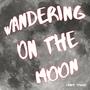Wandering on the Moon
