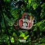 Jungle (Explicit)