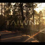 Taiwn