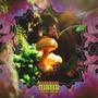 Fumes & Shrooms (Explicit)