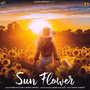 Sun Flower