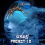 Project 10