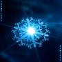 Snowflake (Remixes)