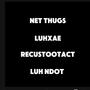 Net Thugs (feat. RecusTooTact & Luh Ndot) [Explicit]