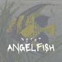 Angelfish