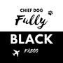 Fully Black (feat. Faboo) [Explicit]