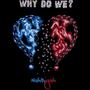 Why Do We ?