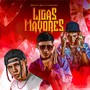 Ligas Mayores