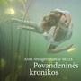 Povandeninės kronikos