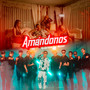 Amándonos