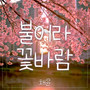 불어라 꽃바람