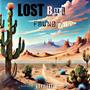 Lost But Found Later (Explicit)