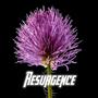 Resurgence