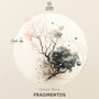 Fragmentos