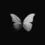 afterlife