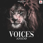 Voices (Original Mix)