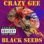 Black Seeds (Explicit)