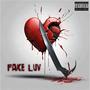 Fake Luv (Explicit)