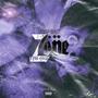 Zone (feat. Mat Culture) [Explicit]