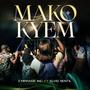 Makokyem (feat. Elvis Bentil)