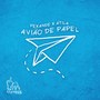 Avião de Papel