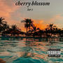 Cherry blossom (Explicit)