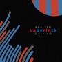 Labyrinth (Nealysm Remix)