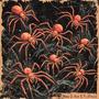 Spiders