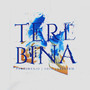 Tere Bina