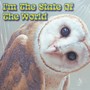 I'm The State Of The World