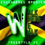 Walk Where We Walk (Freestyle #2) [Explicit]