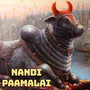 Nandi Paamalai