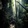 Jungle (Explicit)
