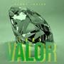 VALOR (feat. Kenny Javier) [Brazilian Funk Version] [Explicit]