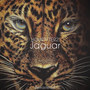 Jaguar (Remastered)