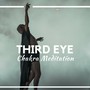 Third Eye Chakra Meditation - 30 Soothing Mp3 Tracks