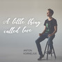 A Little Thing Called Love