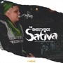 Sativa