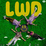 LWD (Explicit)