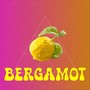 BERGAMOT