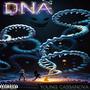 DNA (Explicit)