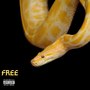 Free (Explicit)