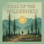 Soul of the Wilderness Instrumental Journeys