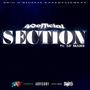 Section (feat. SF MAHK) [Explicit]