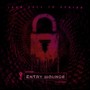 ENTRY WOUNDS (Explicit)