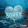 Sorry (Explicit)