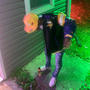 Rich Off Pain (Explicit)