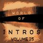 World of Intros, Vol.25 (Special DJ Tools)